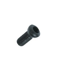 ALLEN SCREW