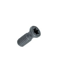 TORX SCREW